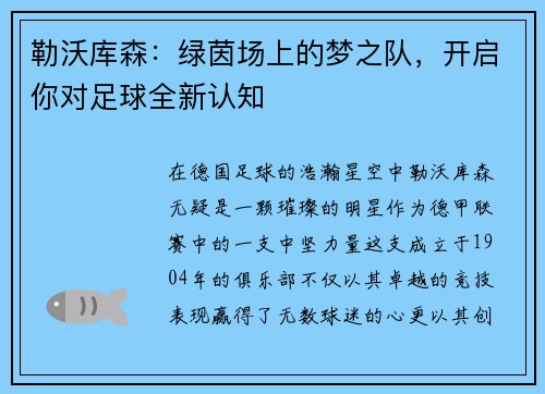 勒沃库森：绿茵场上的梦之队，开启你对足球全新认知