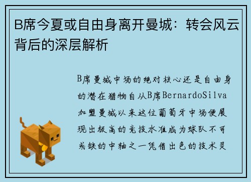 B席今夏或自由身离开曼城：转会风云背后的深层解析